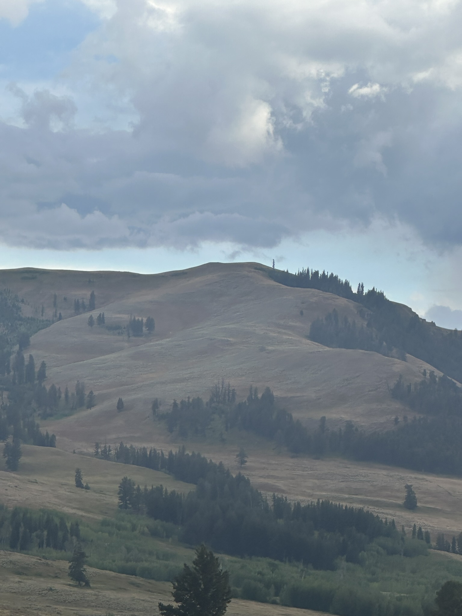 Yellowstone And Grand Teton National Parks - Image 1120